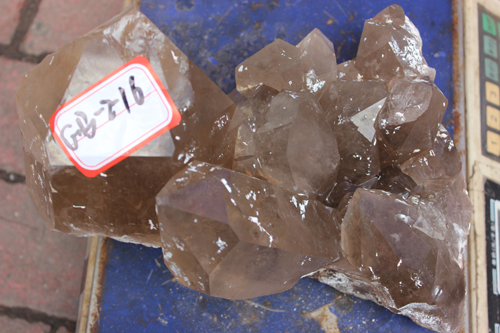 20138087.jpg