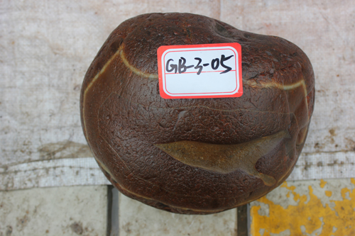 20138057.jpg