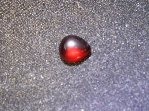 20138132.jpg