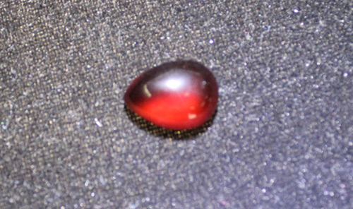 20138130.jpg