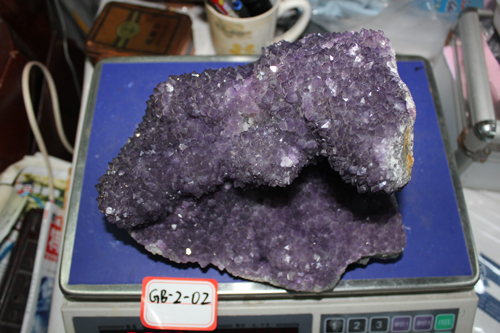 20138137.jpg
